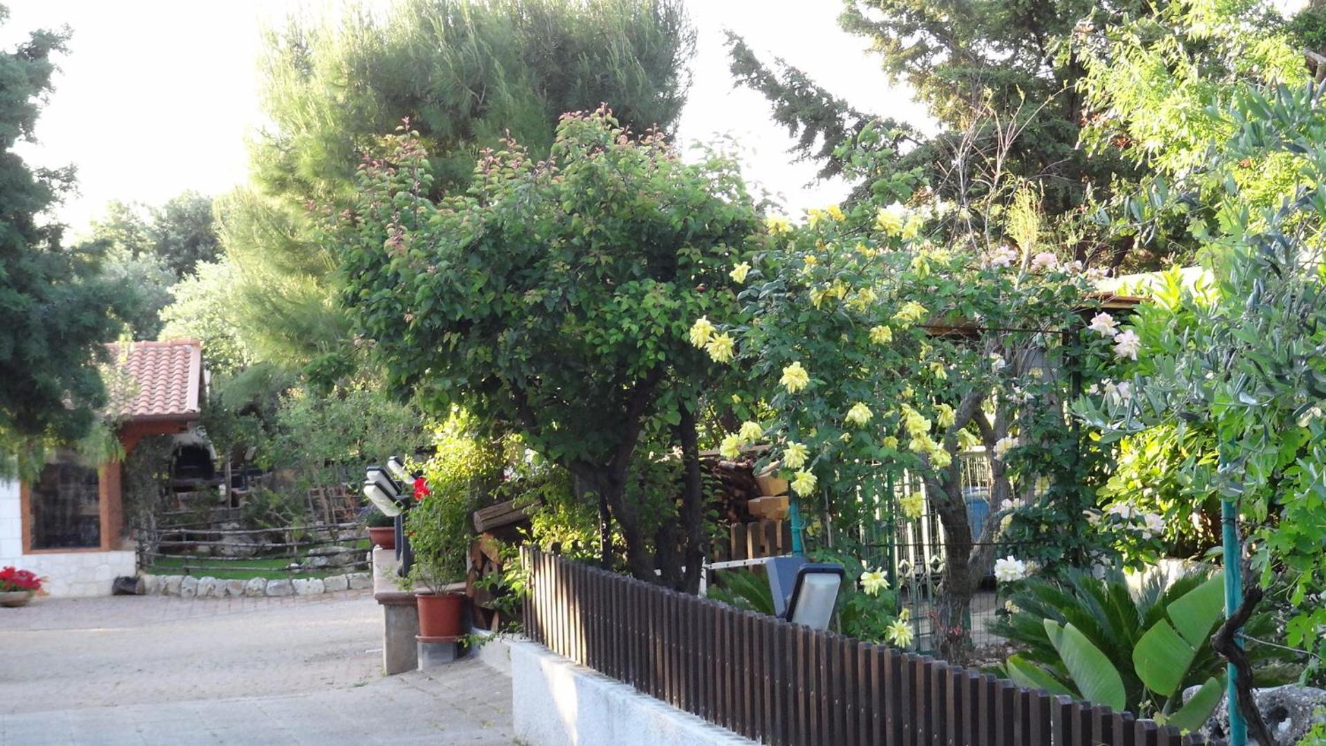 Bed And Breakfast La Casetta Monopoli Ngoại thất bức ảnh