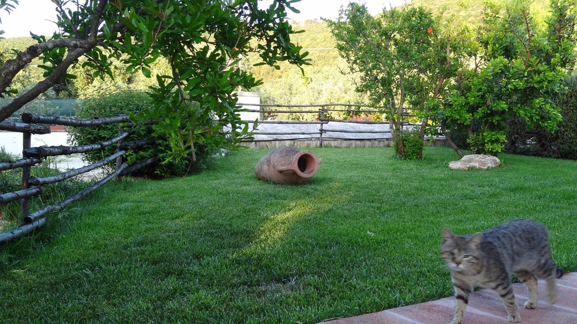 Bed And Breakfast La Casetta Monopoli Ngoại thất bức ảnh